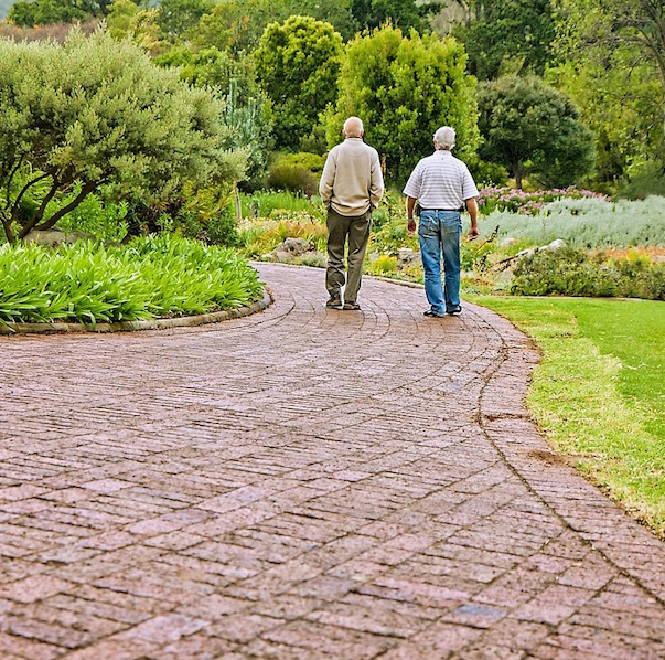 As two men take a walk, they chat about use Lotsa Helping Hands to provide help for caregivers.
