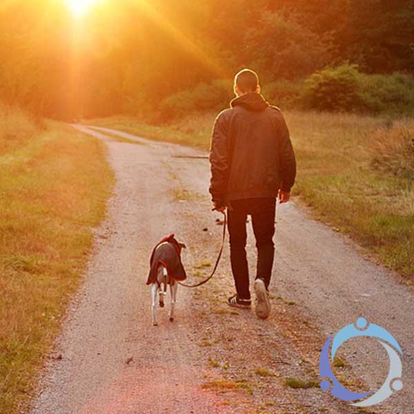 A man is walking with his dog, which is one of those therapy animals used to help people with health and wellness.